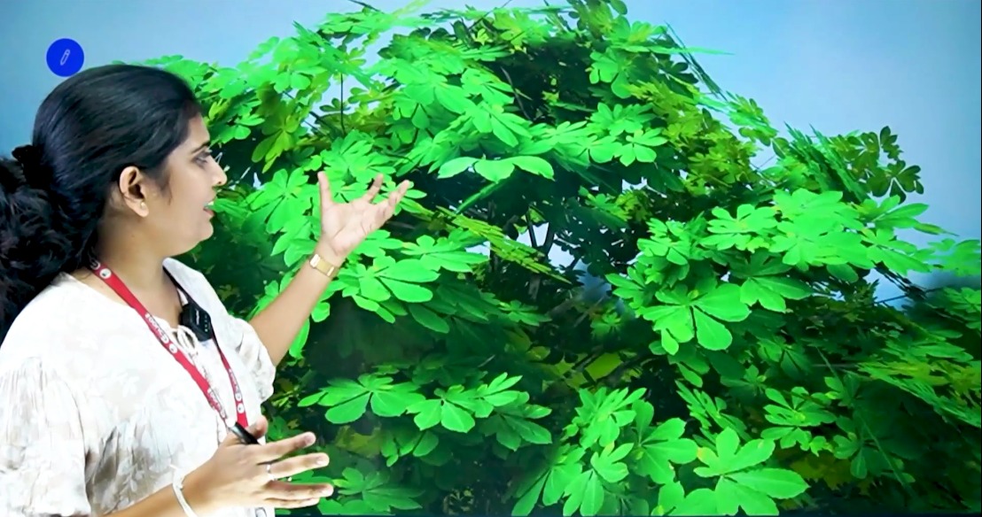Lecture slide covering plant botany and structure