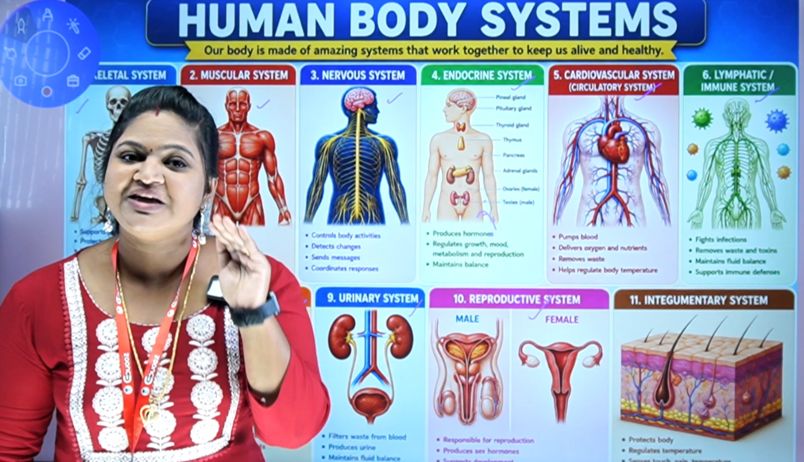 Lecture slide illustrating the major systems of the human body