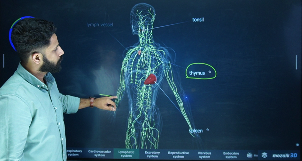 Lecture slide covering the human lymphatic system